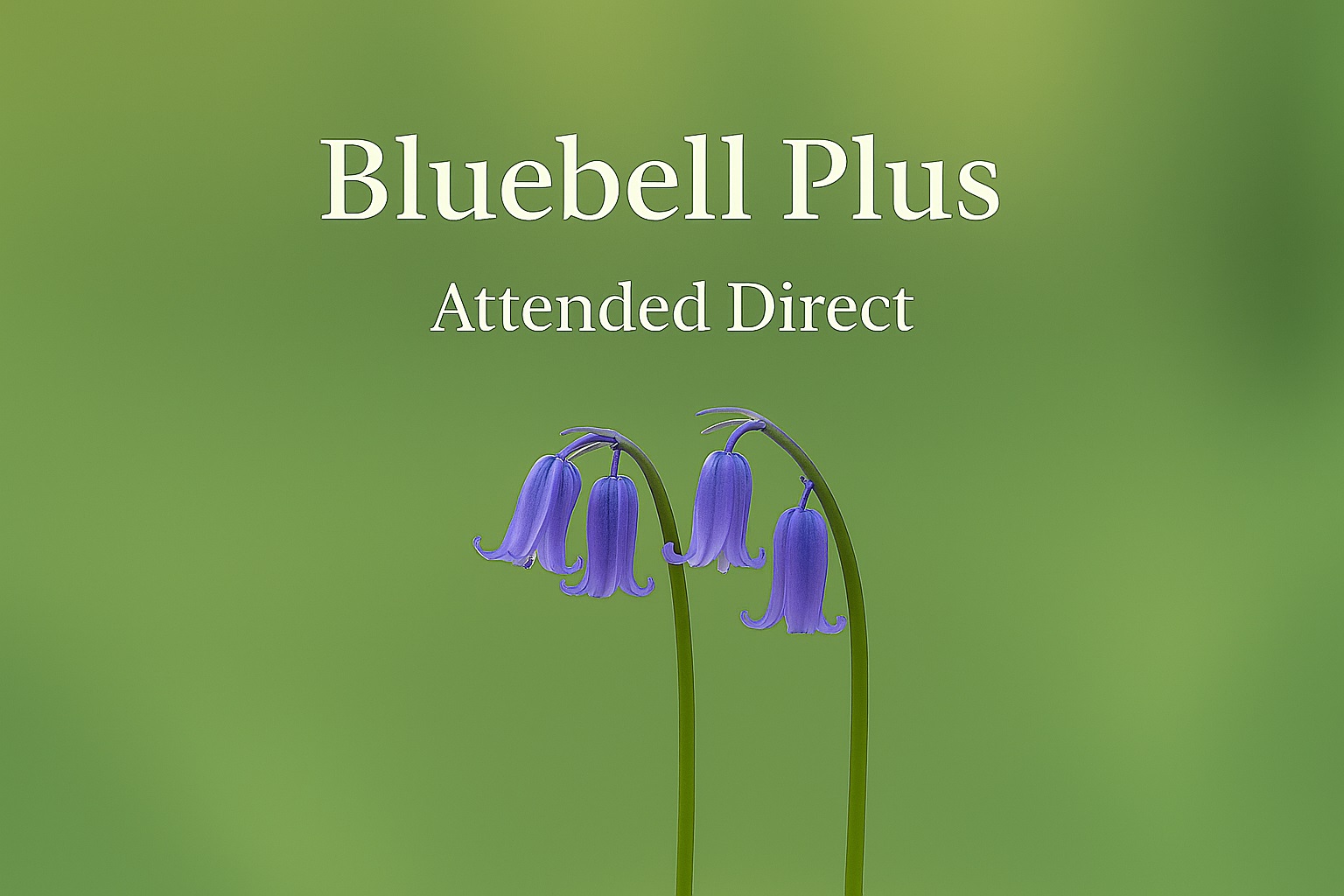 Huntingdon Memorial Garden Circle